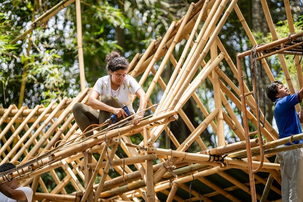 bamboo structure design