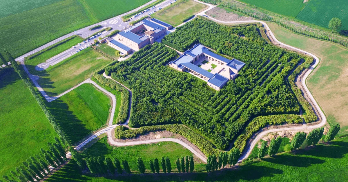 5 SURPRISING COUNTRIES THAT ARE GROWING BAMBOO 4