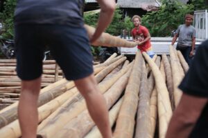 PREPARING AND SELECTING YOUR BAMBOO FOR CONSTRUCTION 6