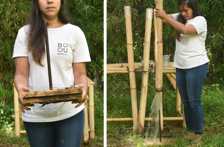 How to Treat Bamboo in Your Backyard