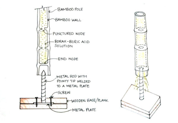 How to Treat Bamboo In Your Backyard - Bamboo U