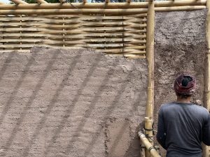 Mudlime Wall
