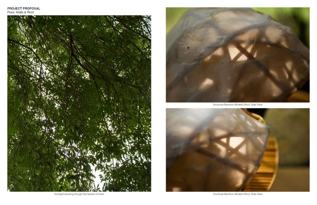 Tree House Roof Structural Model