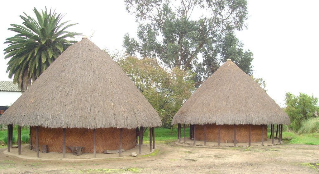 BAMBOO U - Taironas and Muiscas, Colombia