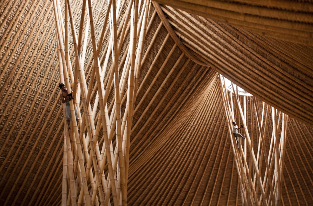 Bamboo Ceilings