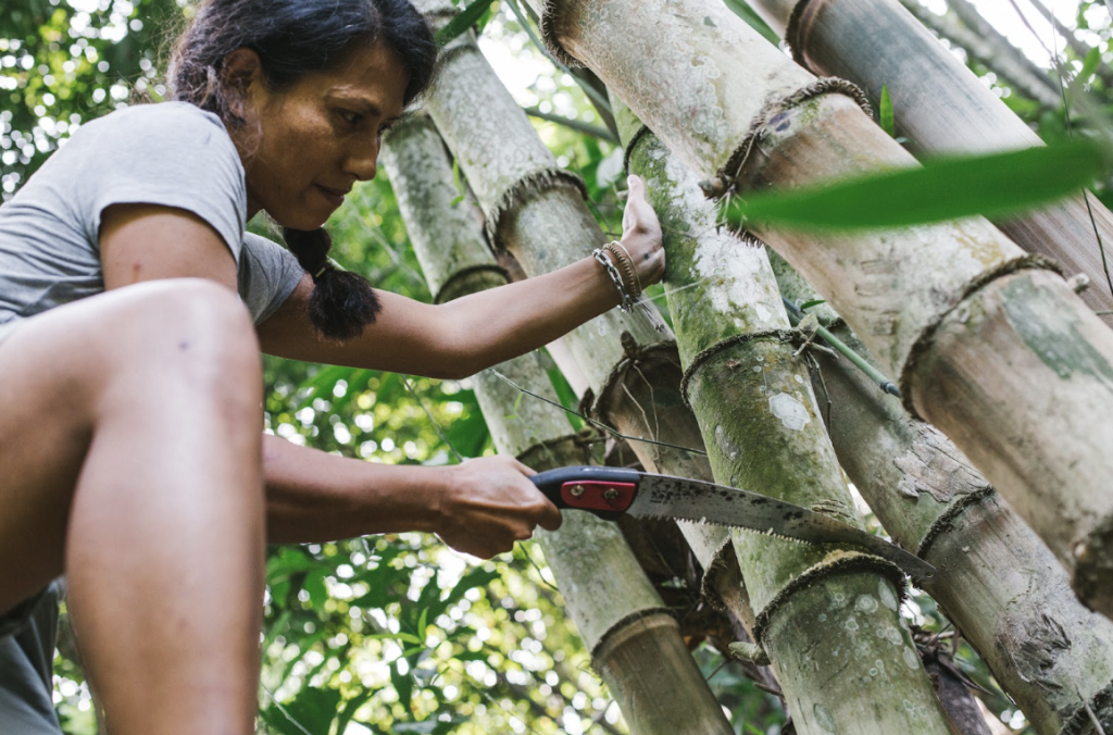 BAMBOO U, Student Cutting Bamboo Using Bamboo Saw during Bamboo U 11 Day Build and Design with Bamboo Course in Bali