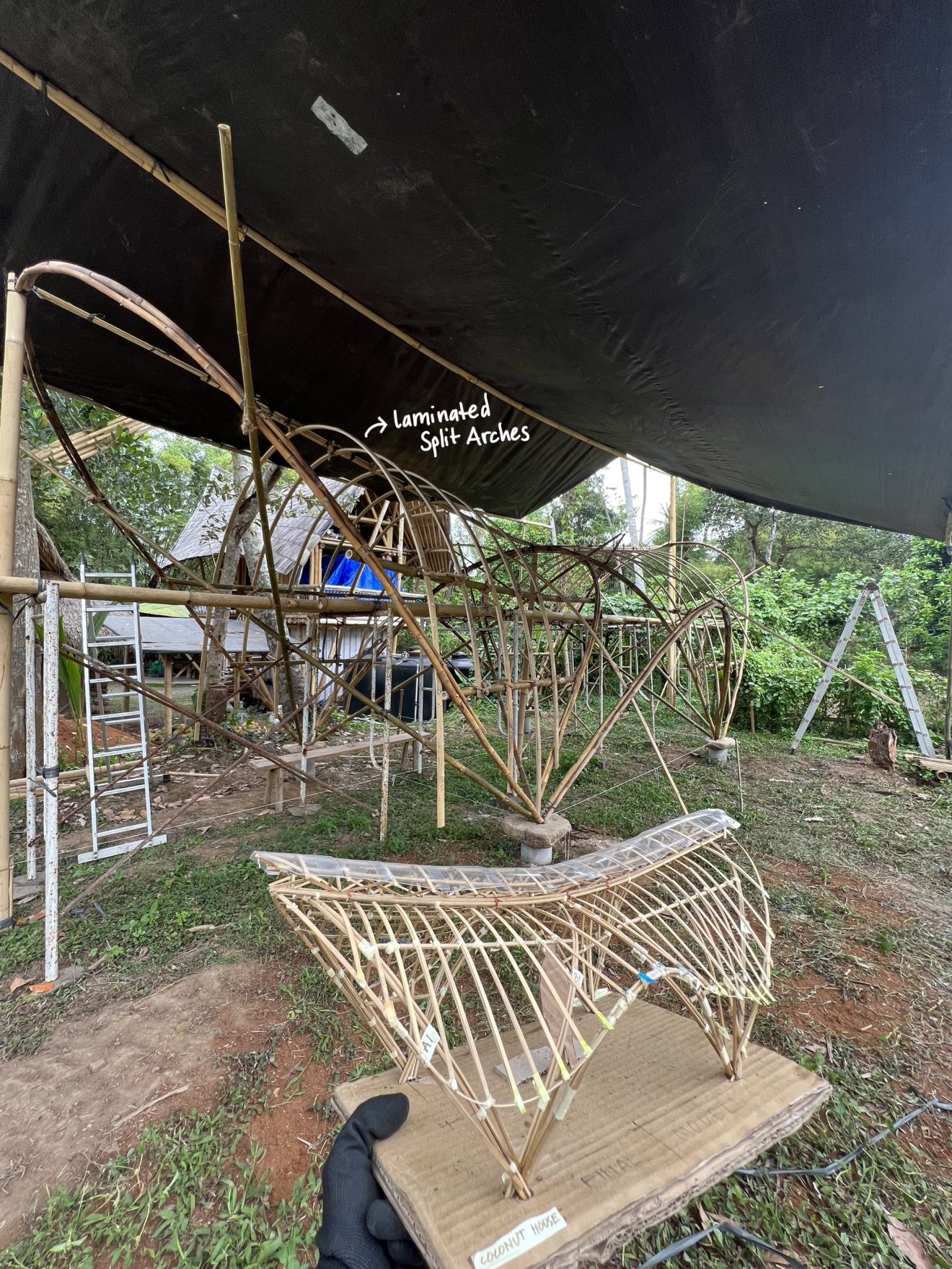 Testing And Applying Innovative Heat-bending Techniques In Bamboo ...