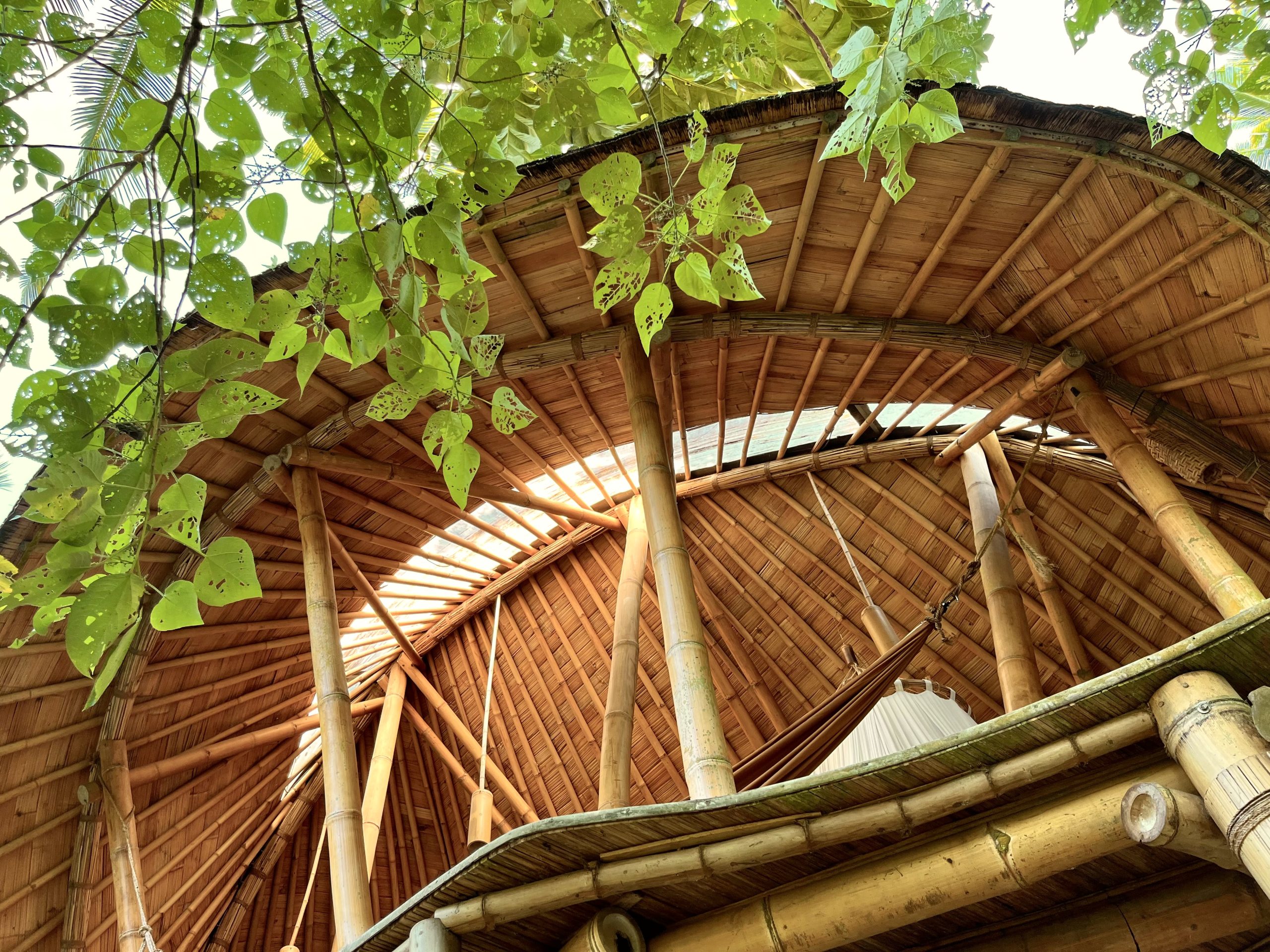 A Guide to Starting Your Own Bamboo Building Project - Bamboo U