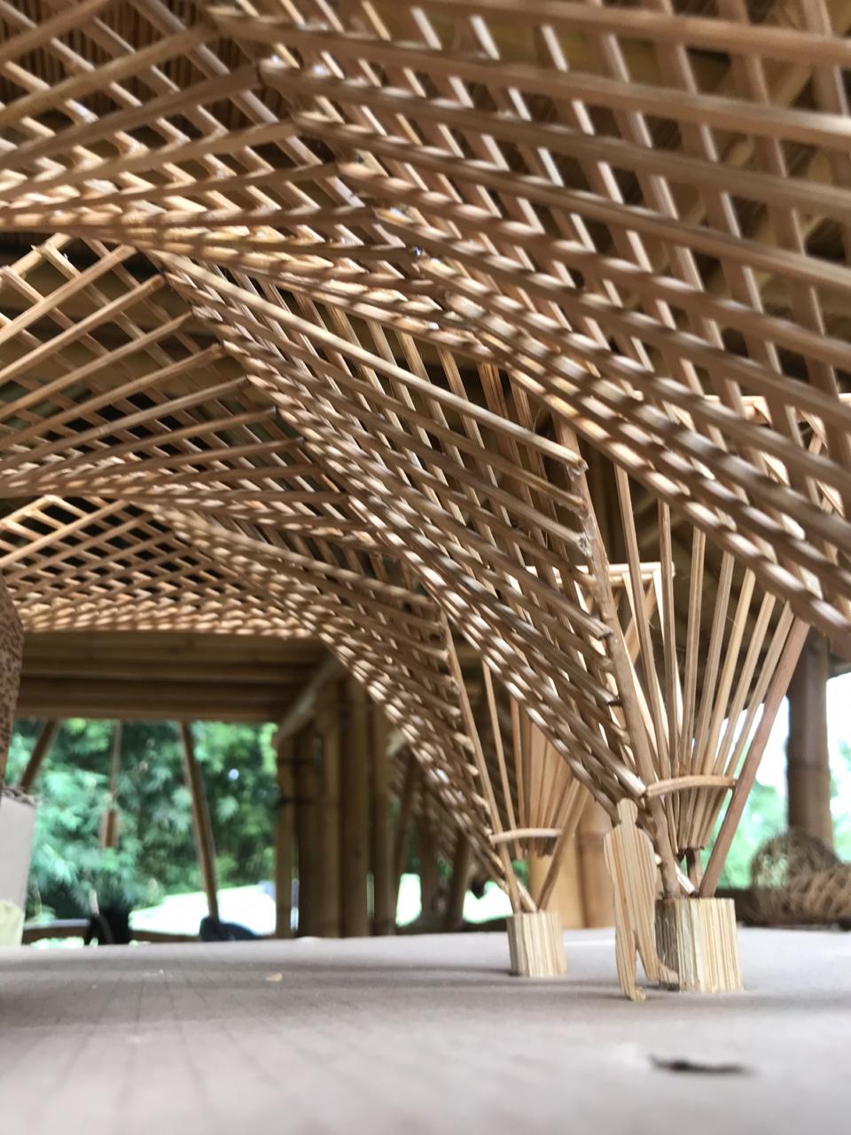 The Top Steps You Need to Start Your Bamboo Project - Bamboo U