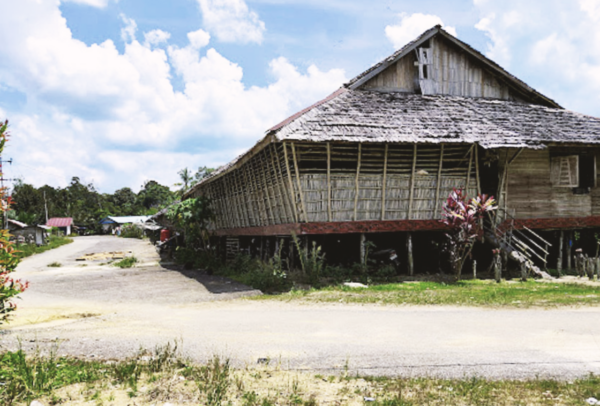 Innovative Flattened Bamboo Roofing for Sustainable Architecture - Bamboo U