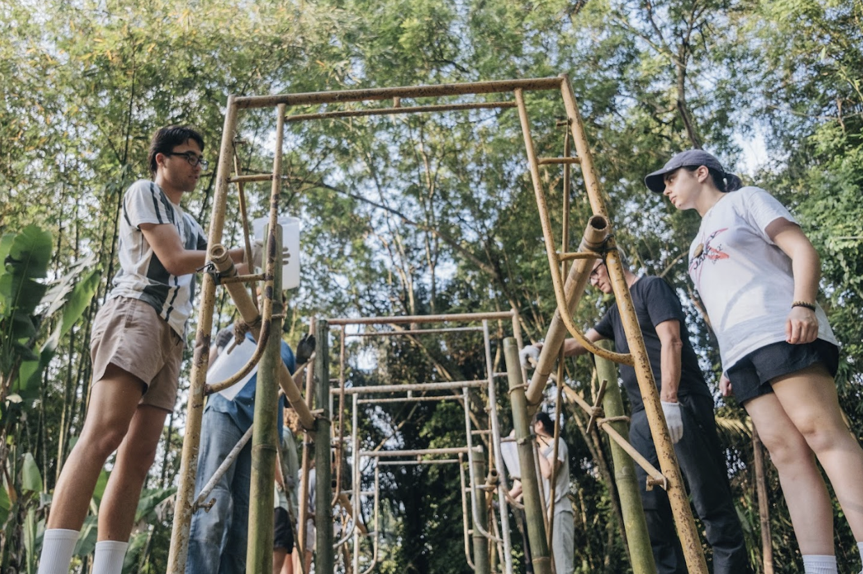 BAMBOO U - Vertical Soal Diffusion on Bamboo Pole Process (1)