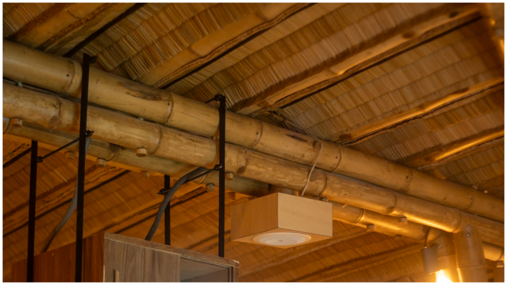 photo-collagepng 2 - Bamboo U
