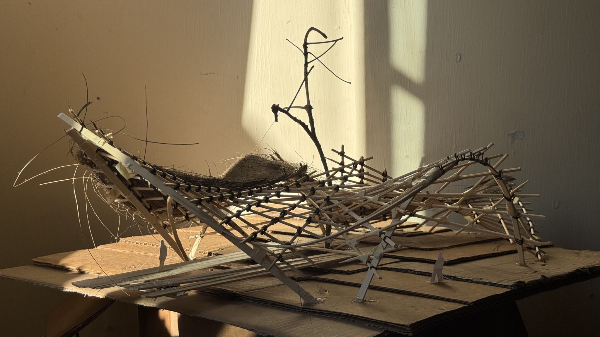 Designing a Vegan Art Studio with Hyperbolic Paraboloids - Bamboo U
