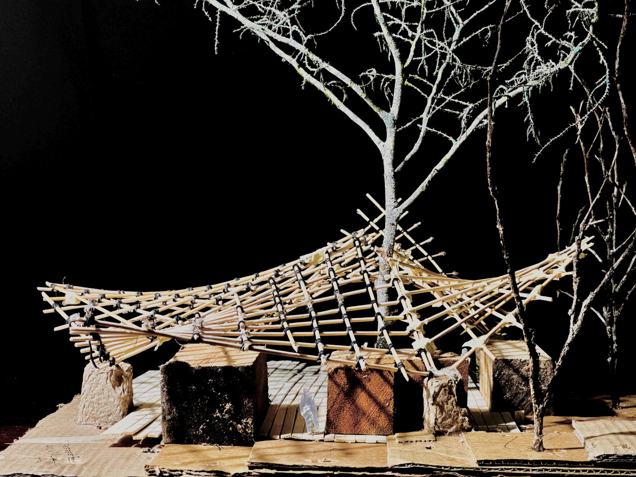 Designing a Vegan Art Studio with Hyperbolic Paraboloids - Bamboo U