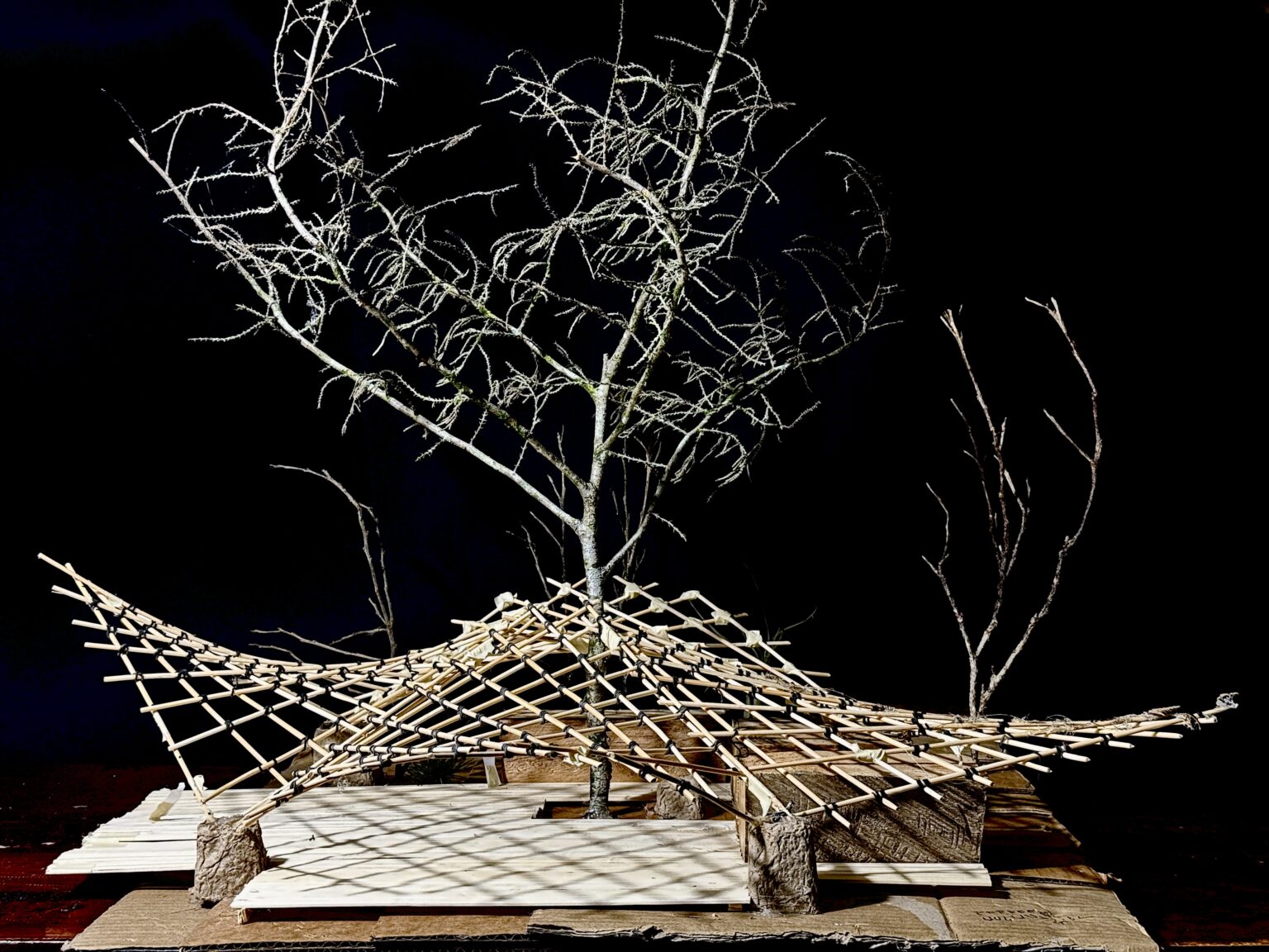 Designing a Vegan Art Studio with Hyperbolic Paraboloids - Bamboo U