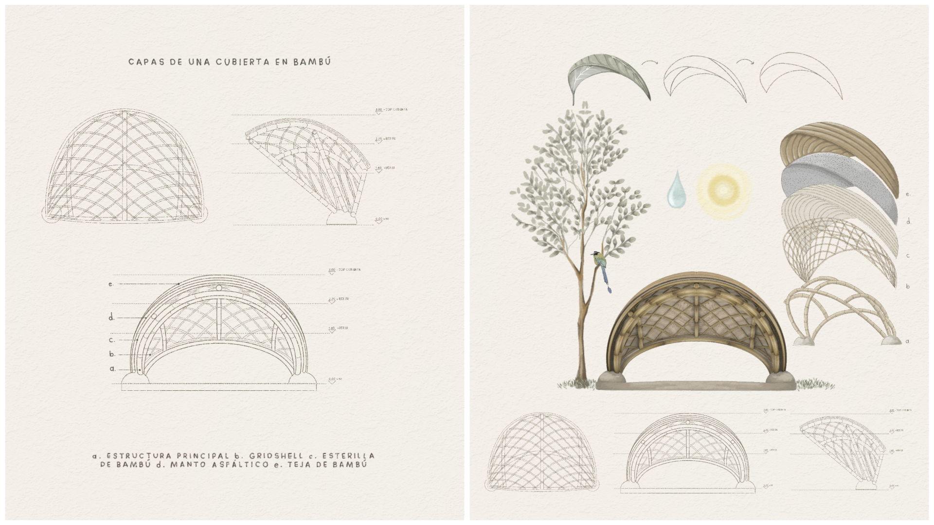 photo-collagepng 1 - Bamboo U