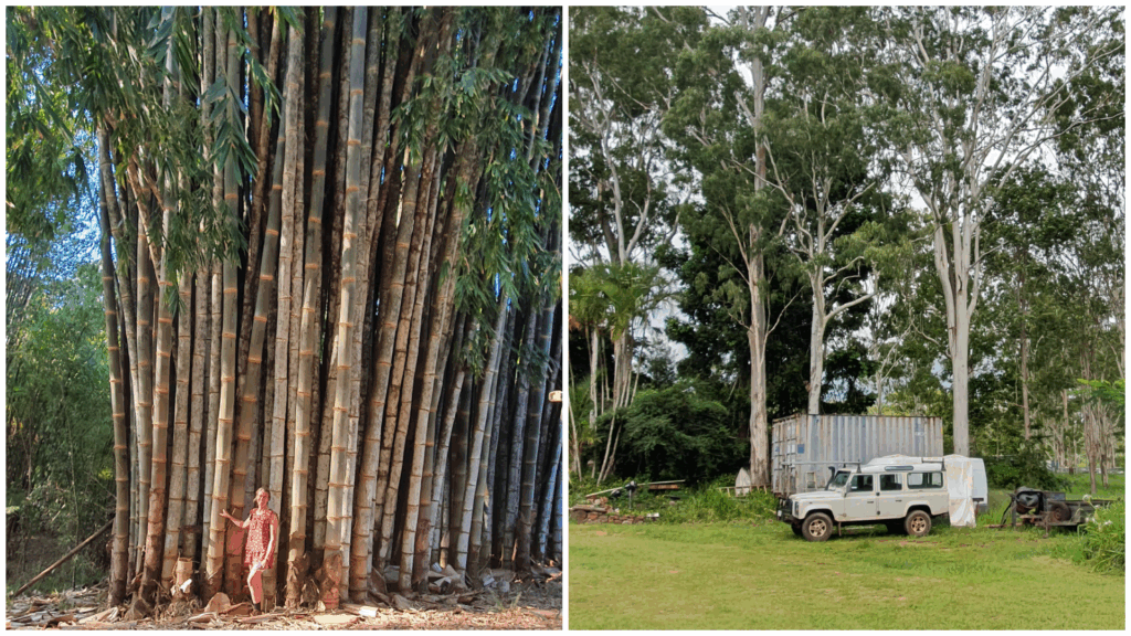 photo-collagepng 2 - Bamboo U